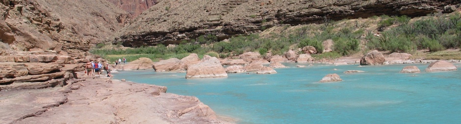 People enjoying white water rafting