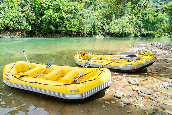 Rafting in Forest